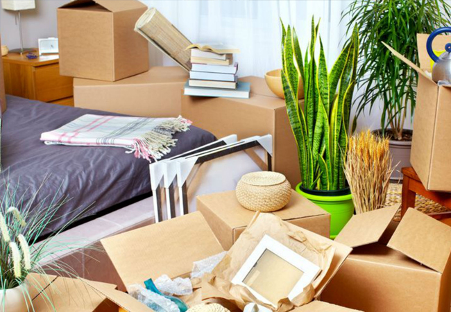 Cheap moving sercices in Katy and Houston